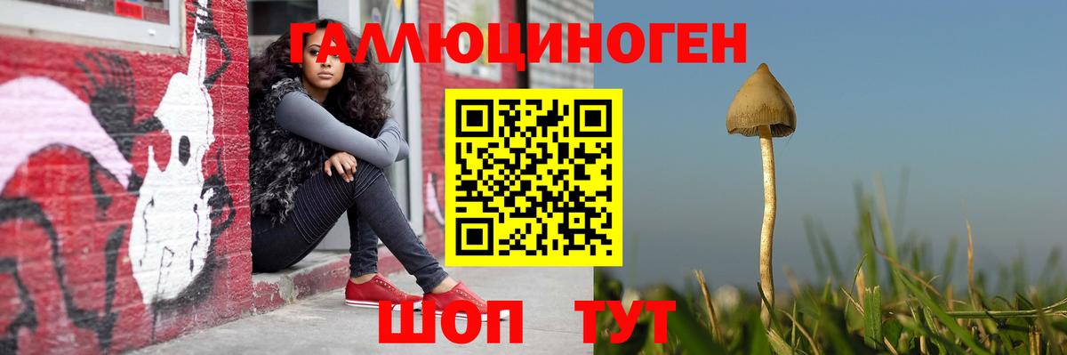 Галлюциногенные грибы прущие грибы  Псилоцибиновые грибы прущие грибы  Ессентуки  где можно купить   Вход с VPN 